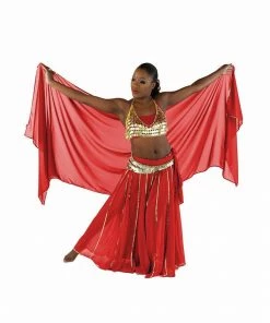 Miss Belly Dance Belly Dance Skirt, Bra, Veil & Hip Scarf Costume Set | STARGAZER BELLY DANCE COSTUMES