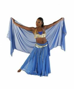 Miss Belly Dance Belly Dance Skirt, Bra, Veil & Hip Scarf Costume Set | STARGAZER BELLY DANCE COSTUMES