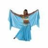 Miss Belly Dance Belly Dance Skirt, Bra, Veil & Hip Scarf Costume Set | STARGAZER BELLY DANCE COSTUMES
