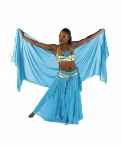 Miss Belly Dance Belly Dance Skirt, Bra, Veil & Hip Scarf Costume Set | STARGAZER BELLY DANCE COSTUMES