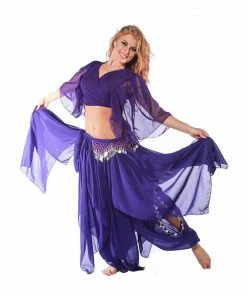 Miss Belly Dance Belly Dance Skirt, Pants, Top, & Hip Scarf Costume Set | FIT FOR FATINE BELLY DANCE COSTUMES