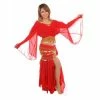 Miss Belly Dance Belly Dance Skirt, Top, & Hip Scarf Costume Set | ANDUSSENCE