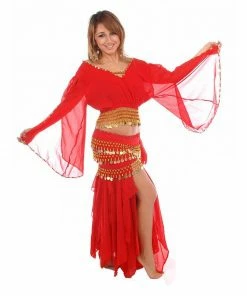 Miss Belly Dance Belly Dance Skirt, Top, & Hip Scarf Costume Set | ANDUSSENCE