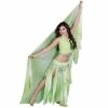 Miss Belly Dance Belly Dance Skirt, Top, Veil, & Hip Scarf Costume Set | RAQS AND ROLL BELLY DANCE COSTUMES