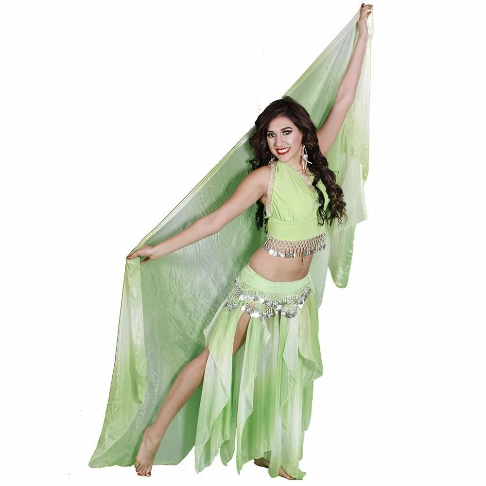 Miss Belly Dance Belly Dance Skirt, Top, Veil, & Hip Scarf Costume Set | RAQS AND ROLL BELLY DANCE COSTUMES 1 Miss Belly Dance Belly Dance Skirt, Top, Veil, & Hip Scarf Costume Set | RAQS AND ROLL BELLY DANCE COSTUMES