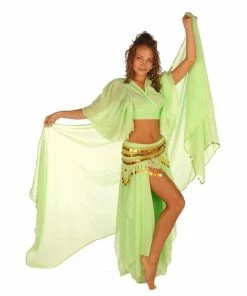Miss Belly Dance Belly Dance Skirt, Top, Veil, & Hip Scarf Costume Set | SERENITY SERENADE
