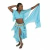Miss Belly Dance Belly Dance Skirt, Top, Veil, & Hip Scarf Costume Set | SERENITY SERENADE