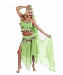 Miss Belly Dance Belly Dance Skirt, Veil, Tank Top, & Hip Scarf Costume Set | TREMENDOUS COMBO SETS