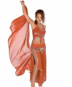 Miss Belly Dance Belly Dance Skirt, Veil, Tank Top, & Hip Scarf Costume Set | TREMENDOUS COMBO SETS
