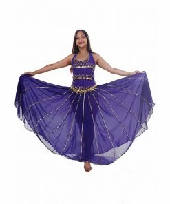 Miss Belly Dance Belly Dance Top, Skirt, & Coin Belt Costume Set | SPIN OUT SEQUEL