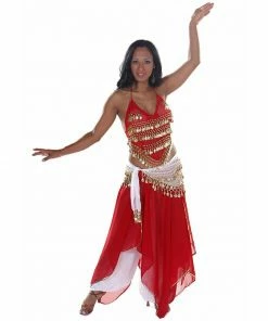 Miss Belly Dance Belly Dance Top, Skirt, Pants, & Hip Scarf Costume Set | RAQS TONIGHT BELLY DANCE COSTUMES
