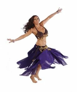 Miss Belly Dance Belly Dance Velvet Bra, Skirt, & Hip Scarf Costume Set | TRIBAL TRIBUTE BELLY DANCE COSTUMES