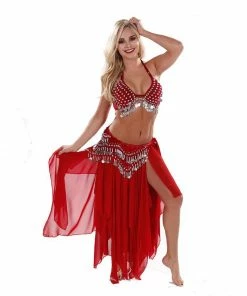 Miss Belly Dance Belly Dance Velvet Bra, Skirt, & Hip Scarf Costume Set | TRIBAL TRIBUTE BELLY DANCE COSTUMES