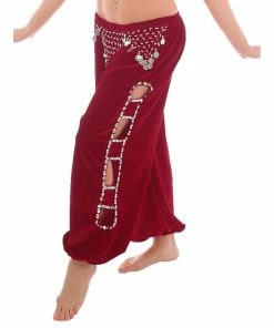 Miss Belly Dance Belly Dance Velvet Harem Pants With Side Cut-Outs | HIPCHI BOTTOMS