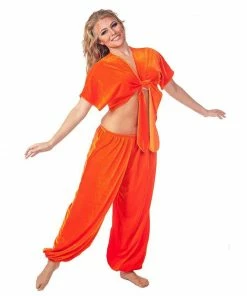 Miss Belly Dance BELLY DANCE COSTUMES Belly Dance Velvet Pants & Top Costume Set | VELVET CRUSH