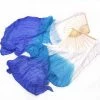 Miss Belly Dance Belly Dancer Fan Veil | AZUL Y CIEL Fan Veils