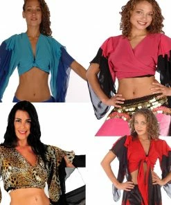 Miss Belly Dance Wholesale Lots Of 6 Belly Dance Chiffon 2-Color Choli Tops